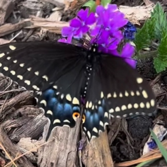 βπ·π Send ALL OFFERβS! I want you to get ποΈποΈ what you πLoveπ! - Picture 11 of 11